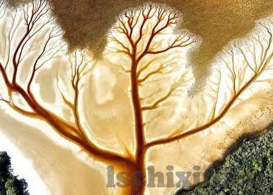 国产麻豆剧果冻传媒白晶晶-国产麻豆剧果冻传媒新作，白晶晶的独特魅力
