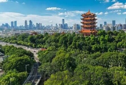 精品人妻少妇一区二区三区在线-探索成人娱乐的多元世界，从一区到三区的精品人妻少妇体验