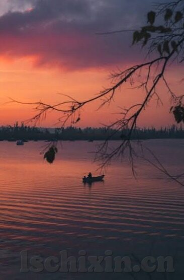 看黄台的app大象传媒ios-探索数字娱乐的边界，理性审视看黄台APP的争议与影响