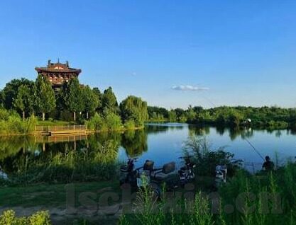 麻豆app无限次破解版-麻豆APP新纪元，无界探索的数字乐园