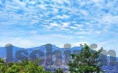 麻豆短视频免费-麻豆短视频的魅力与可行性探析