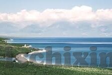 麻豆国产成人免费视频-正确的沟通与应用