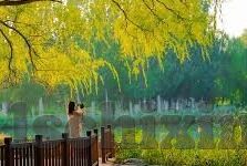 免费伦理片网站-免费伦理片网站，网络时代的道德边界与文化反思
