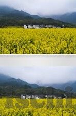 糖心vlog兑换码未使用-糖心宝藏之旅，发现未使用Vlog兑换码的美妙瞬间